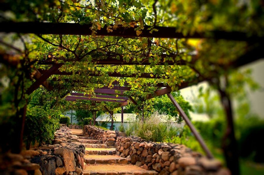 Imagem Roteiro do Vinho de São Roque